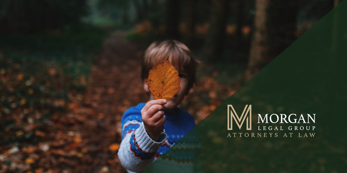 Guardianship For Special Needs Child - Estate local lawyer